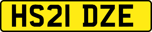 HS21DZE