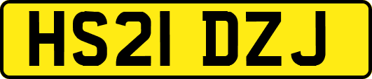 HS21DZJ
