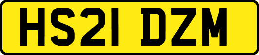 HS21DZM