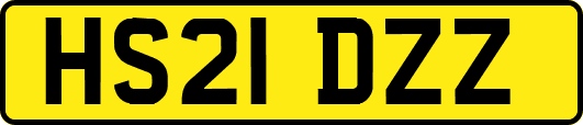 HS21DZZ