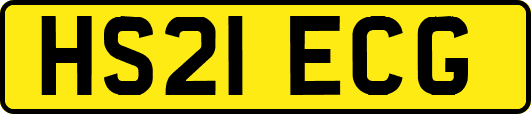 HS21ECG