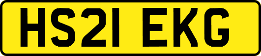 HS21EKG