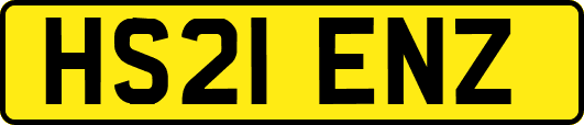 HS21ENZ