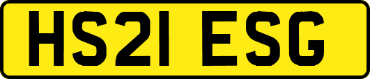 HS21ESG