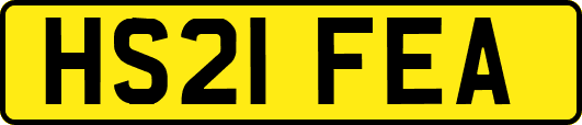HS21FEA
