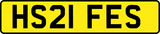 HS21FES
