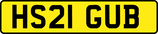 HS21GUB