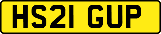 HS21GUP