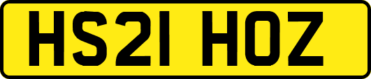 HS21HOZ