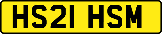 HS21HSM