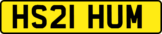 HS21HUM