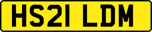 HS21LDM