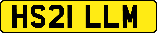 HS21LLM