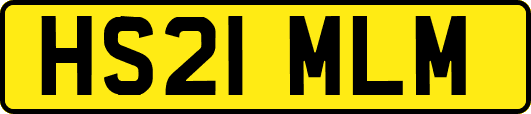 HS21MLM