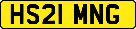 HS21MNG