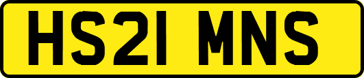 HS21MNS