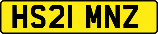 HS21MNZ