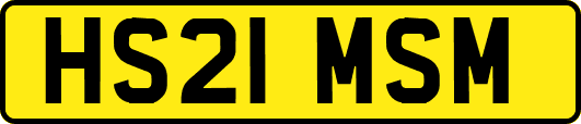 HS21MSM