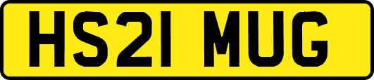 HS21MUG