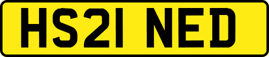 HS21NED