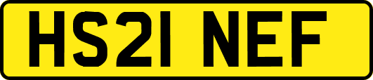 HS21NEF