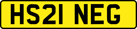 HS21NEG