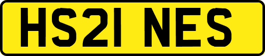 HS21NES