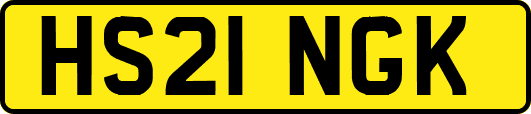 HS21NGK