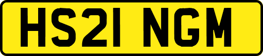 HS21NGM