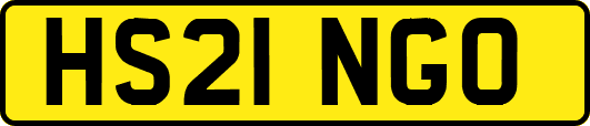 HS21NGO