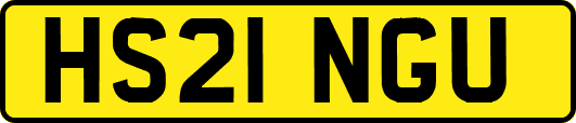 HS21NGU