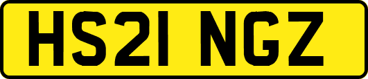 HS21NGZ