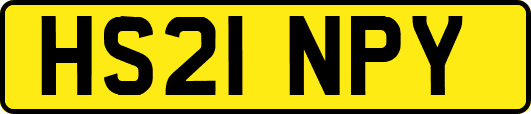 HS21NPY