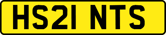 HS21NTS