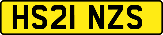 HS21NZS