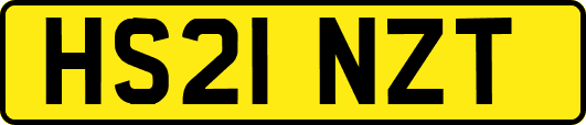 HS21NZT