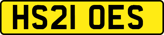 HS21OES