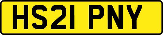 HS21PNY