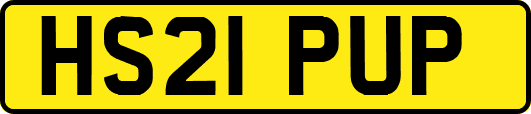 HS21PUP