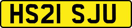 HS21SJU