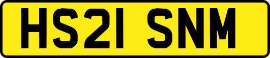 HS21SNM
