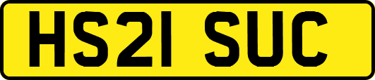 HS21SUC