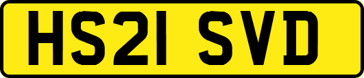 HS21SVD