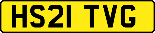 HS21TVG