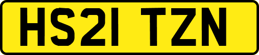 HS21TZN