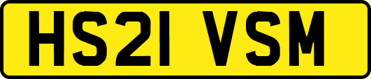 HS21VSM