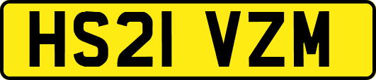 HS21VZM