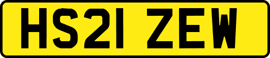 HS21ZEW