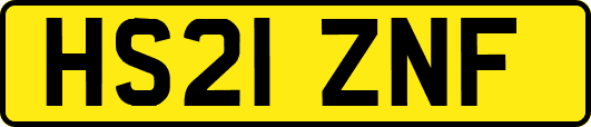 HS21ZNF