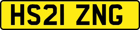 HS21ZNG